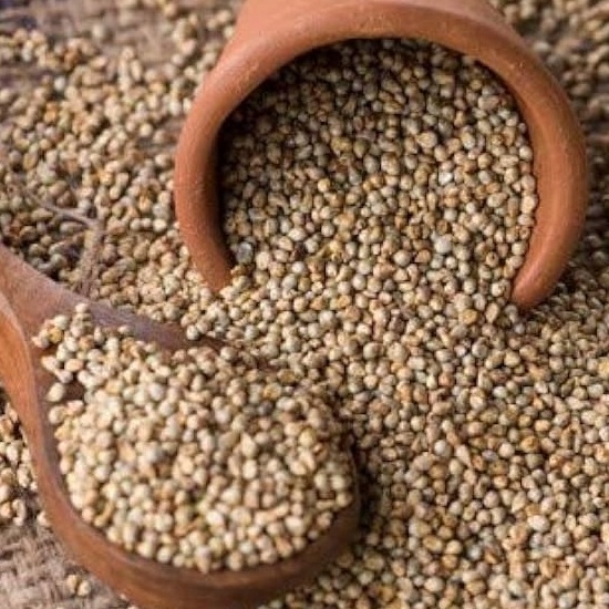 Pearl Millet Bajra 